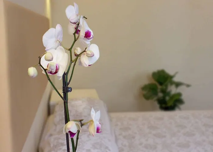 De Biffi Bed and Breakfast